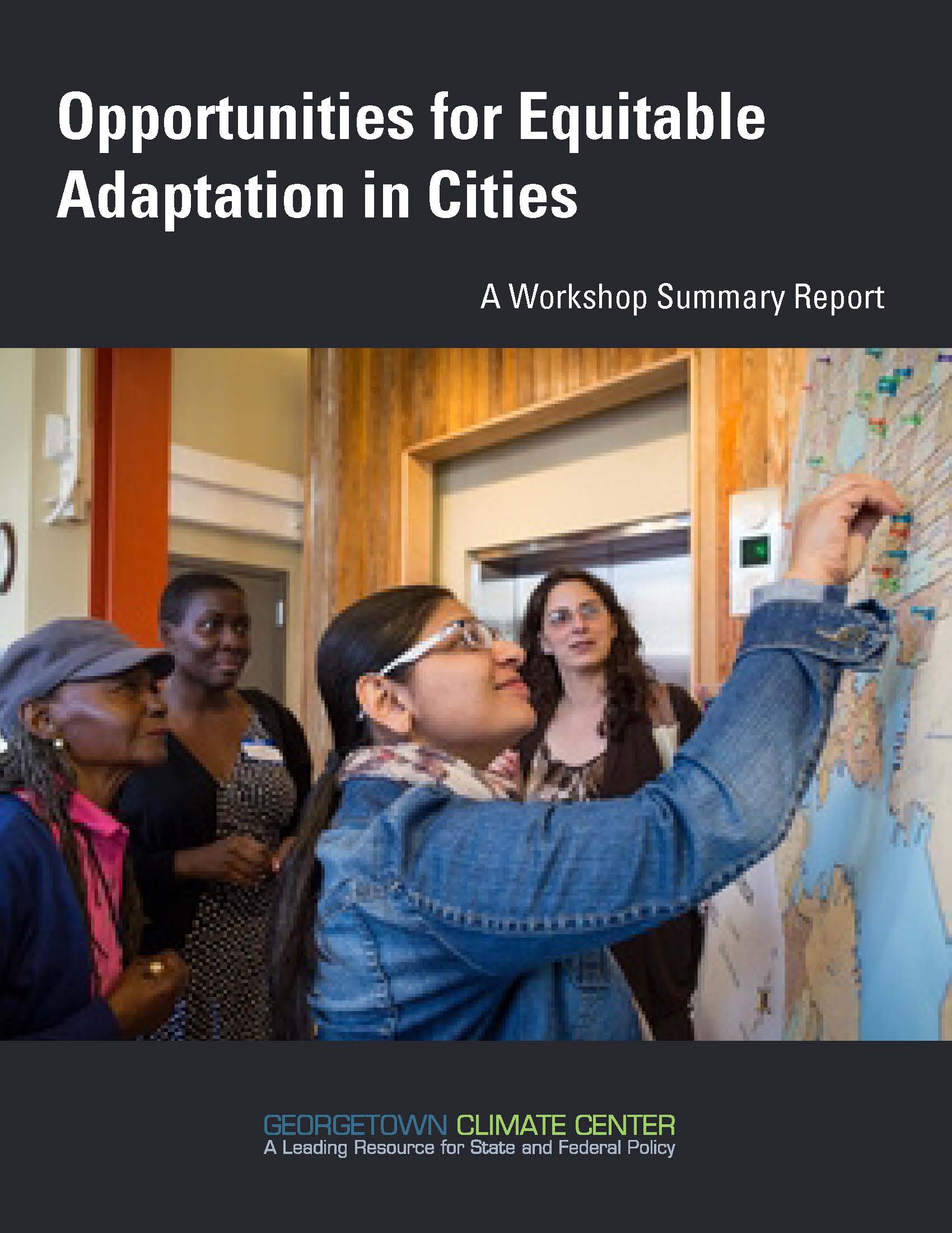 Opportunities for Equitable Adaptation in Cities